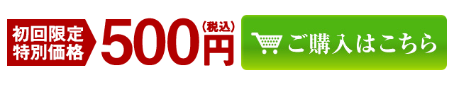 初回限定特別価格500円（税込）