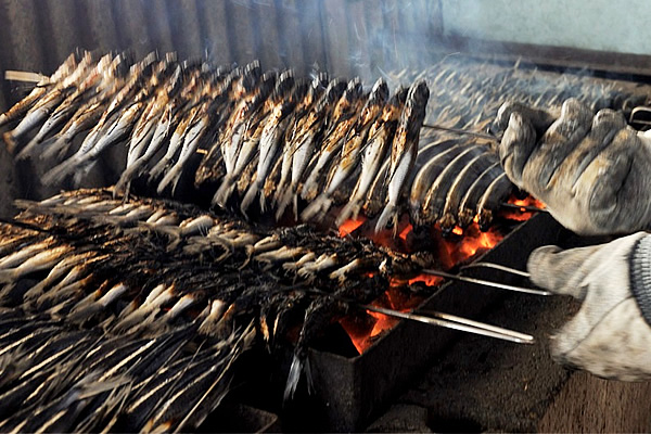 あご（飛び魚）を串に指している様子