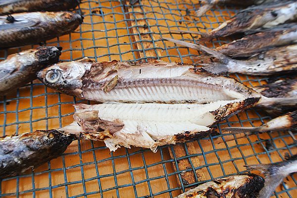 脂身が少ない小ぶりなあご（飛び魚）は、身が白いまま焼き上がる